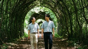 Tree Tunnel Walk