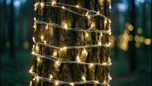 Tree Wrapped LED