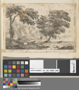 Trees and Cliff on the Bank of a Lake