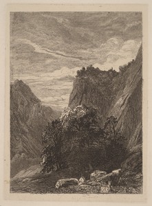 Trees at the Foot of a Cliff