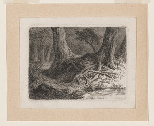 Trees with Tangled Roots