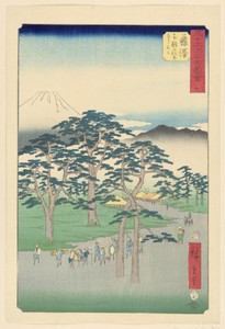 Trek up Mt. Fuji