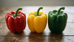 Tri-Color Capsicum Row