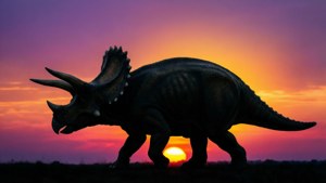 Triceratops Silhouette Sunset