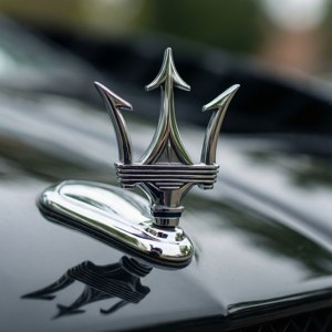 Trident Detail