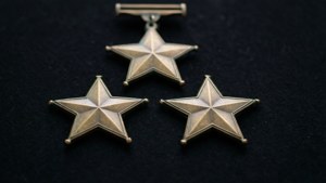 Triple Bronze Stars