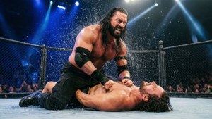 Triple H Pedigree Action