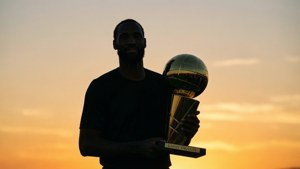 Triumphant Silhouette