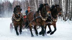 Troika Winter Race