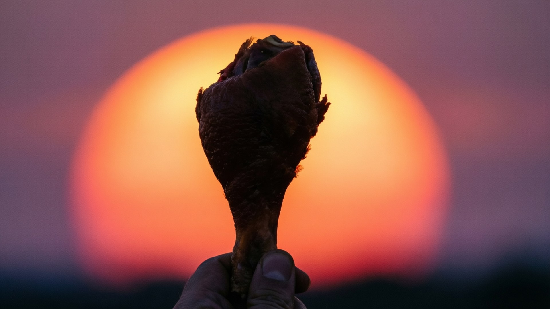 Trophy Leg at Sunset by Wallpapers.art Studio