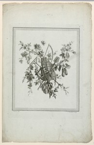 Trophy with Gardening Implements, Plate 6 from "Suite de différentes Attributs, Trophées, et Groupes de fleurs," Suite II
