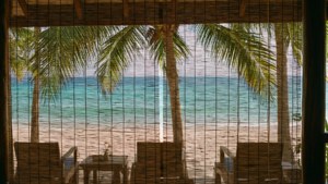 Tropical Bamboo Blinds