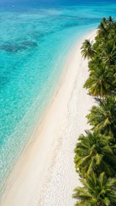 Tropical Beach Aerial