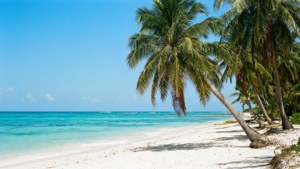 Tropical Beach Bliss