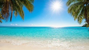Tropical Beach Paradise