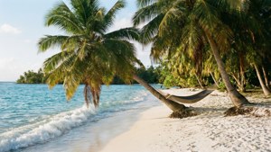 Tropical Beach Paradise