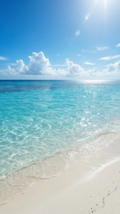 Tropical Beach Paradise