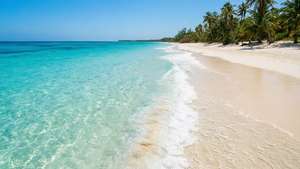 Tropical Beach Paradise