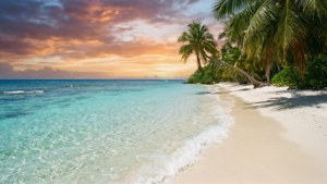 Tropical Beach Paradise