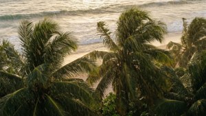 Tropical Beach Rain