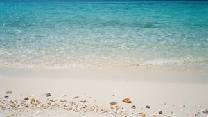 Tropical Beach Serenity