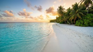 Tropical Beach Sunset
