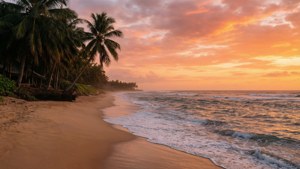 Tropical Beach Sunset