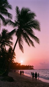 Tropical Beach Sunset
