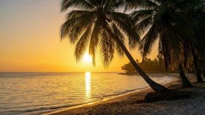 Tropical Beach Sunset