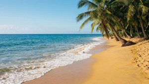 Tropical Beach Waves