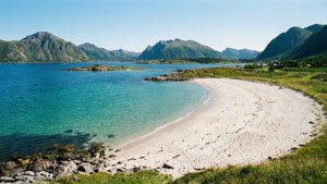 Tropical Bodø Beach