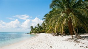 Tropical Caribbean Beach Paradise