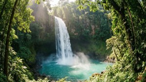 Tropical Cascade Paradise
