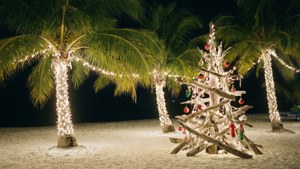 Tropical Christmas Eve