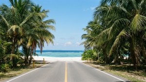 Tropical Coastal Road