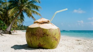 Tropical Coconut Drink
