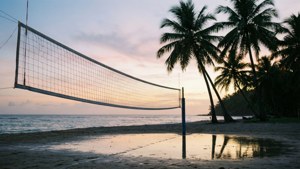 Tropical Dawn Net