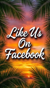 Tropical Facebook Sunset