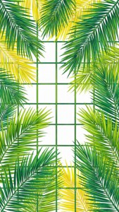 Tropical Grid Leaves