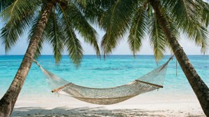 Tropical Hammock Paradise