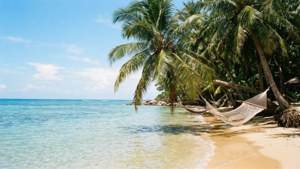 Tropical Indifference