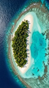 Tropical Island