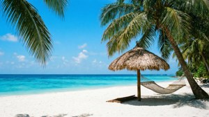 Tropical Island Retreat