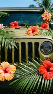Tropical Jeep Grille Summer