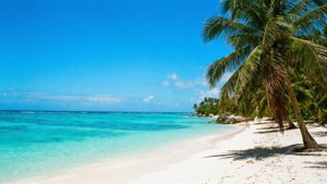 Tropical June Beach