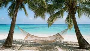 Tropical June Escape
