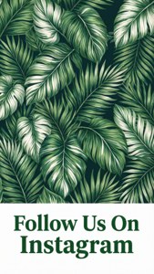 Tropical Leaves Instagram