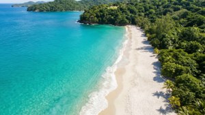 Tropical Paradise Aerial View