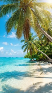 Tropical Paradise Beach
