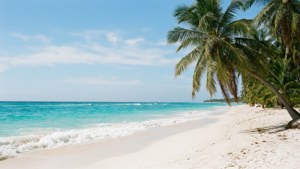 Tropical Paradise Beach